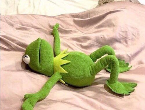 alexi_eastes's tweet photo. me at home slipping into a fevered panic because I’ve missed two days of school this week https://t.co/p84piokoyc