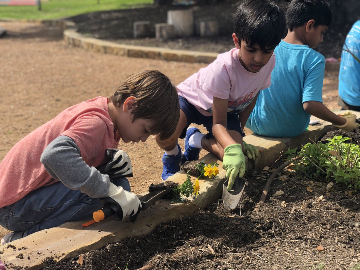 Ms. Bradley tweet media