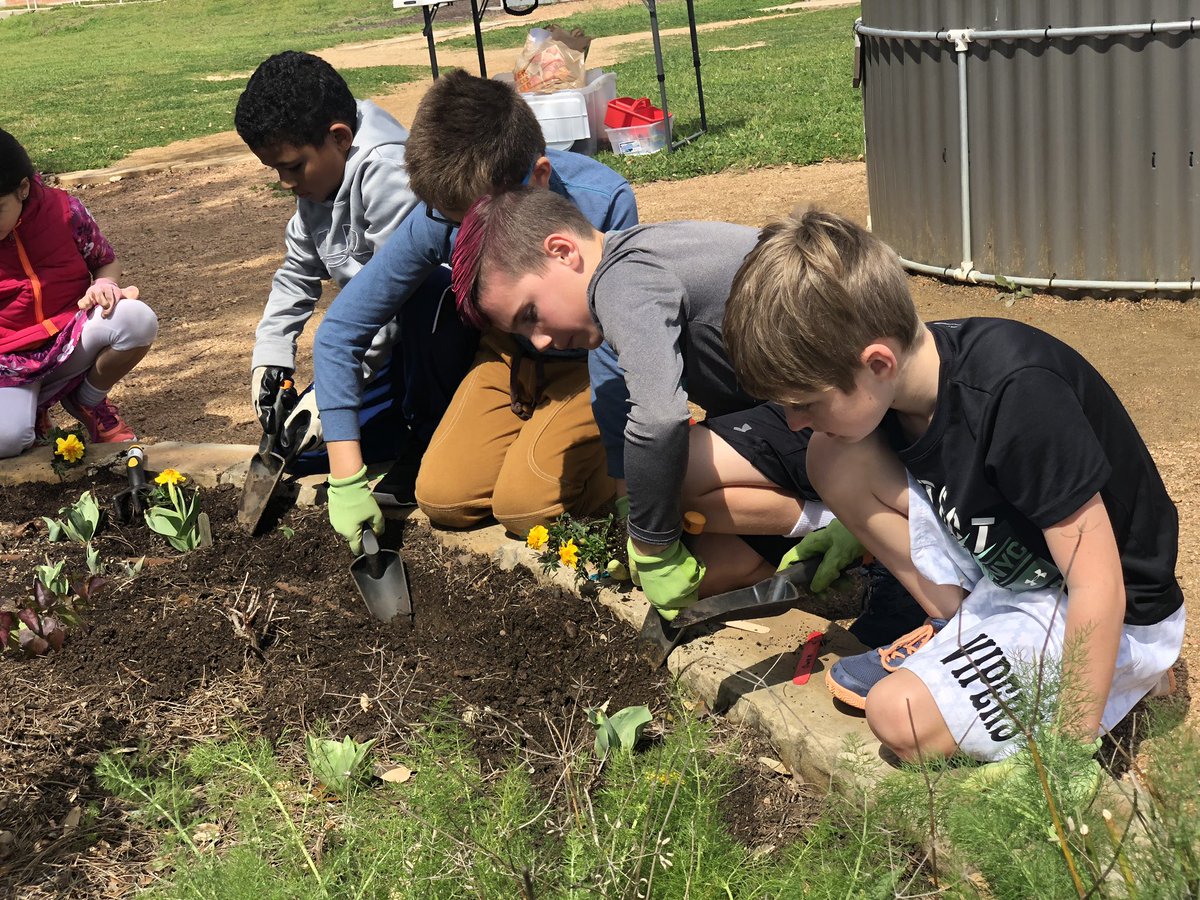 Ms. Bradley tweet media