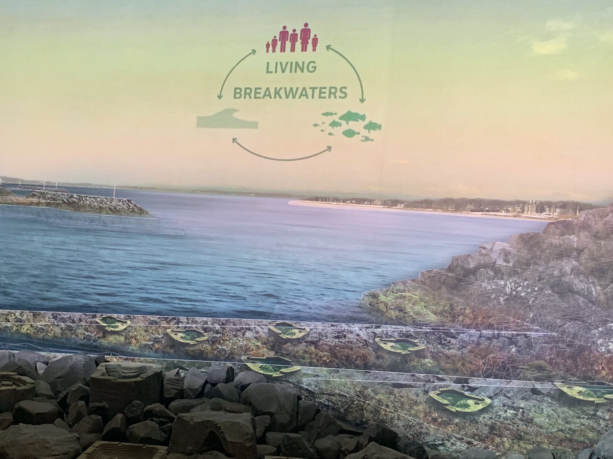 VCerulloNYC's tweet photo. Be sure to check out the new exhibition #HudsonRising @NYHistory featuring the Living Breakwaters project on Staten Island. Amazing work by @scape_studio @rebuildbydesign @NYStormRecovery. #resilience https://t.co/mMwDv4aAP8