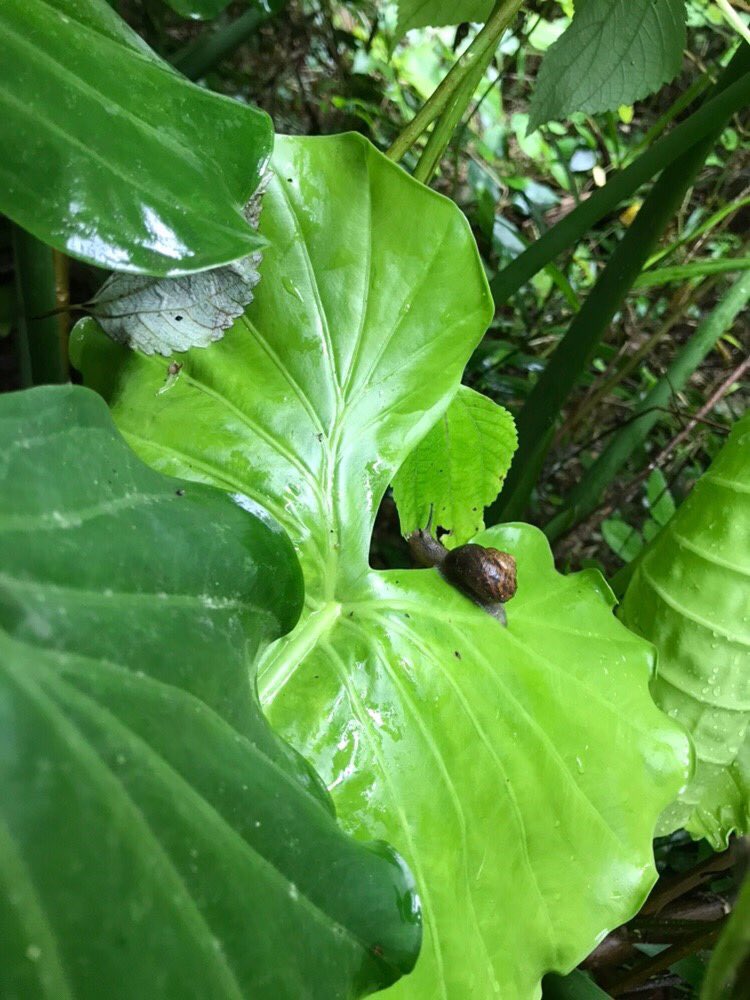 theqoo inserted image