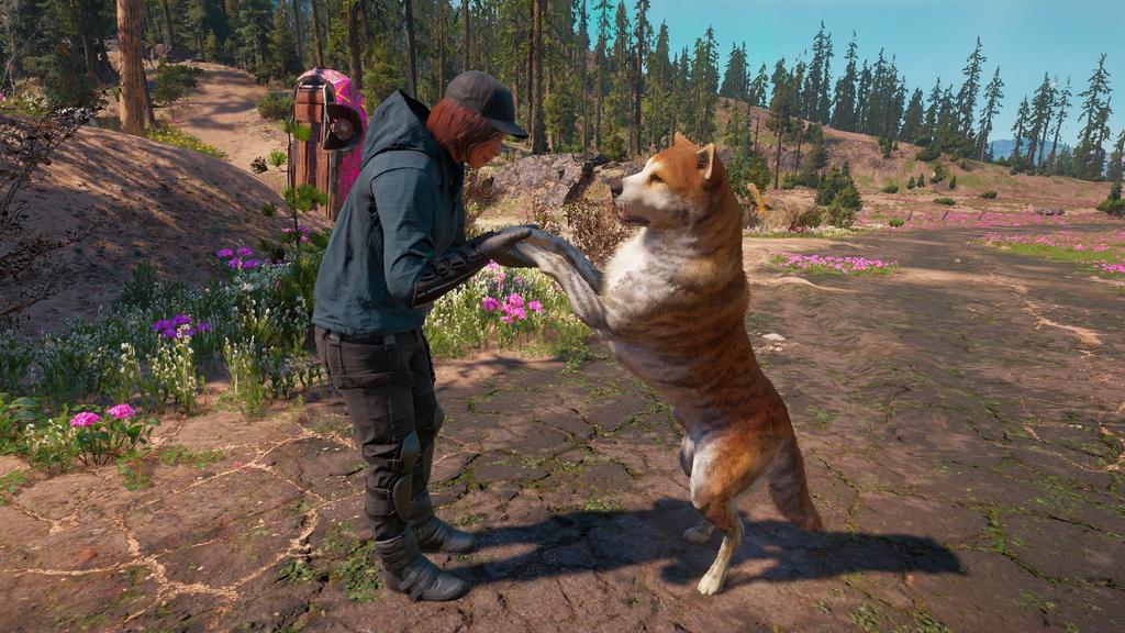 TallyHound45's tweet photo. @FarCrygame #FCNDBestFriend https://t.co/pgNcF7UYYd