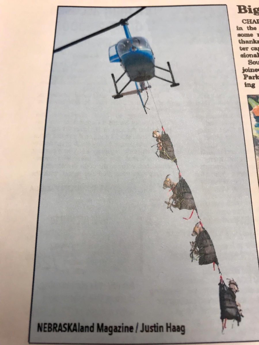 Ben Sasse tweet media