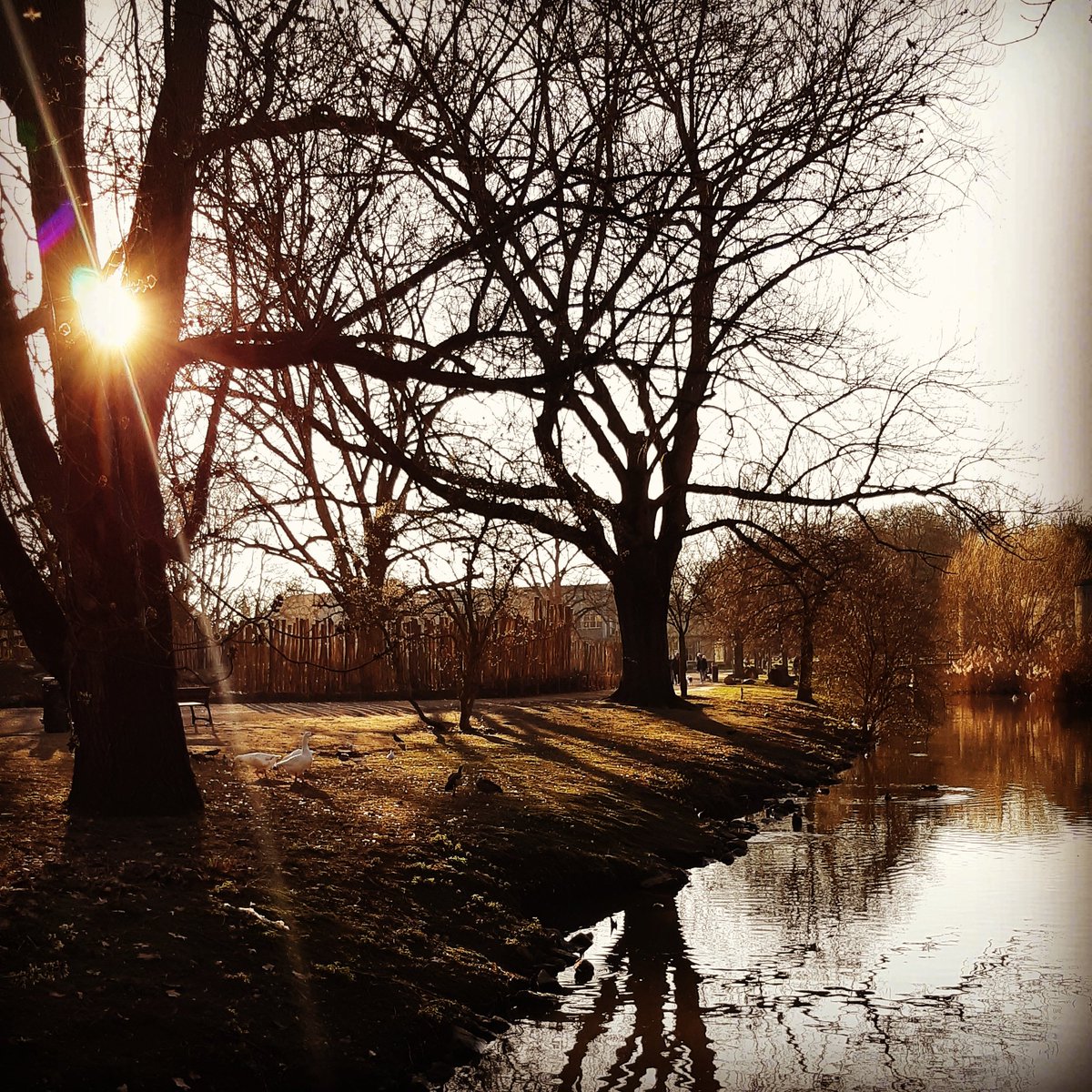 btheuvelland's tweet photo. Genoten van het mooie weer!
Extra energie van de eerste zonnestralen. #MagnifiekZL https://t.co/qsPQHLAW0b
