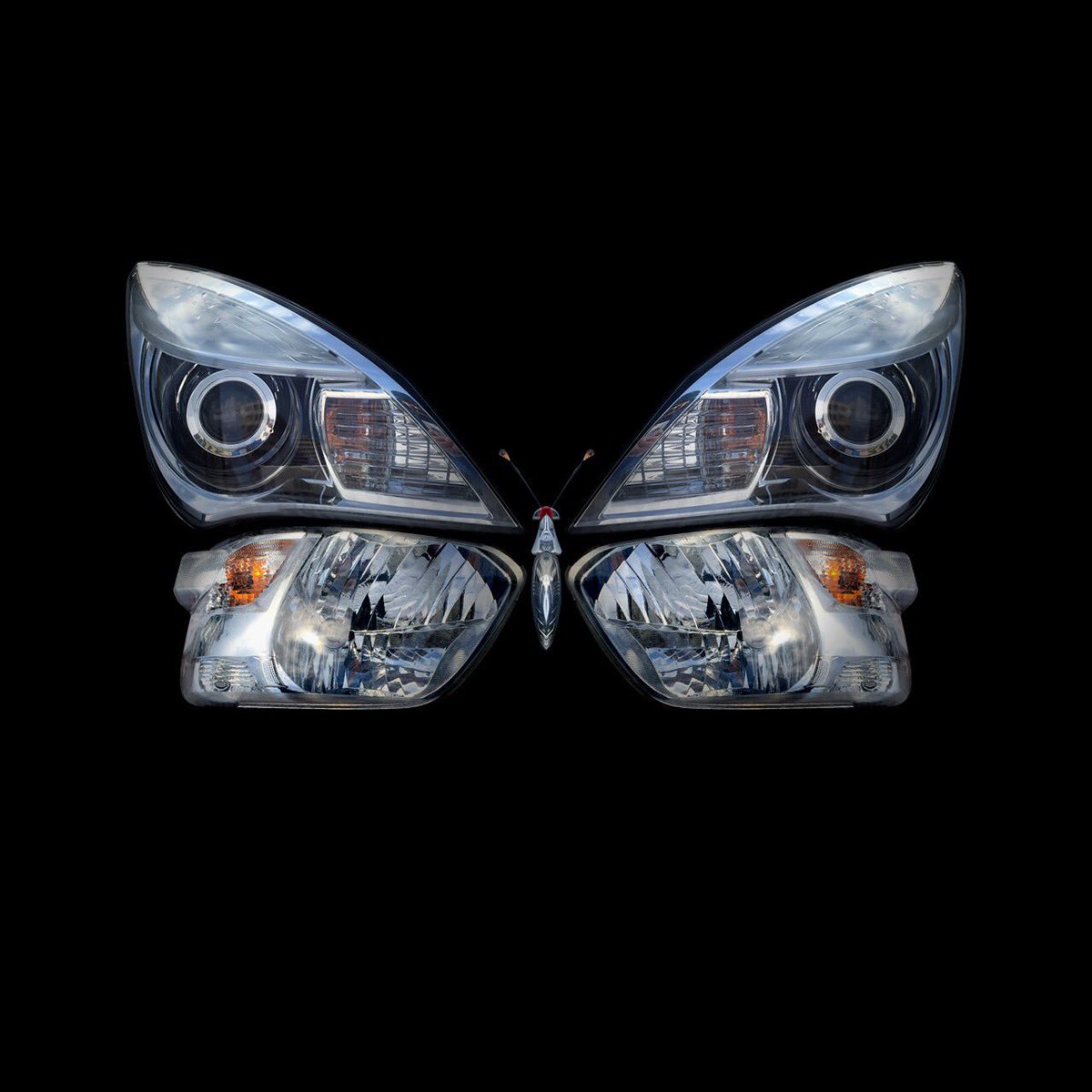 bakumae's tweet photo. 蝶の標本🦋  #BUTTERFLY #BUTTERFLIGHT #蝶　#ヘッドライト　#テールランプ
#INSECT #昆虫標本 #bakumaeda https://t.co/YRdfLRX13x