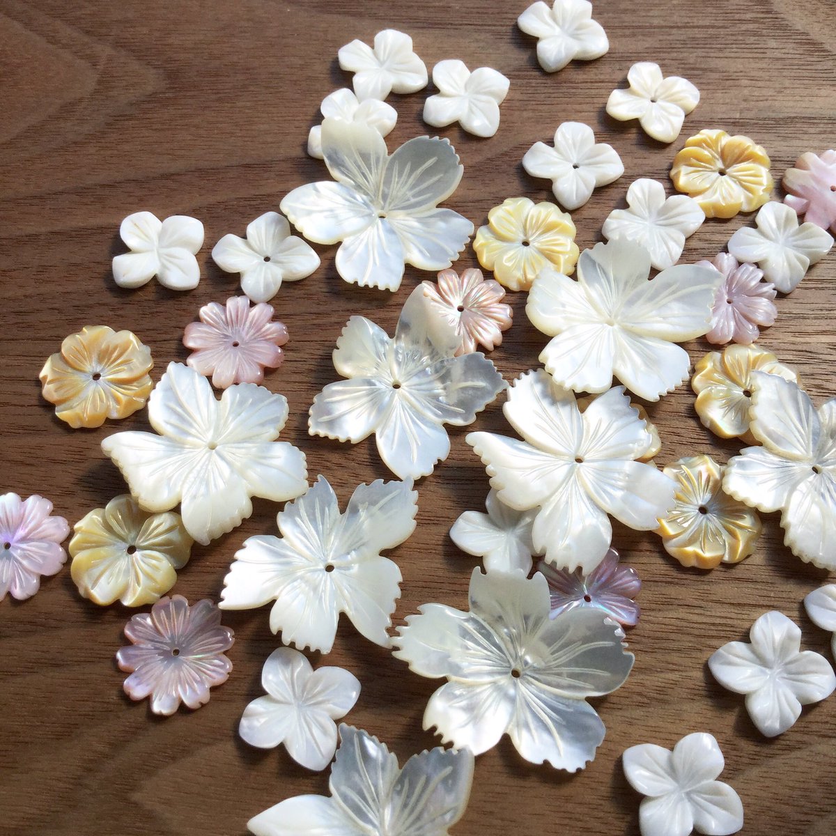 ট ইট র ヒトツブビーズ店 4月以降 数量が確保できれば