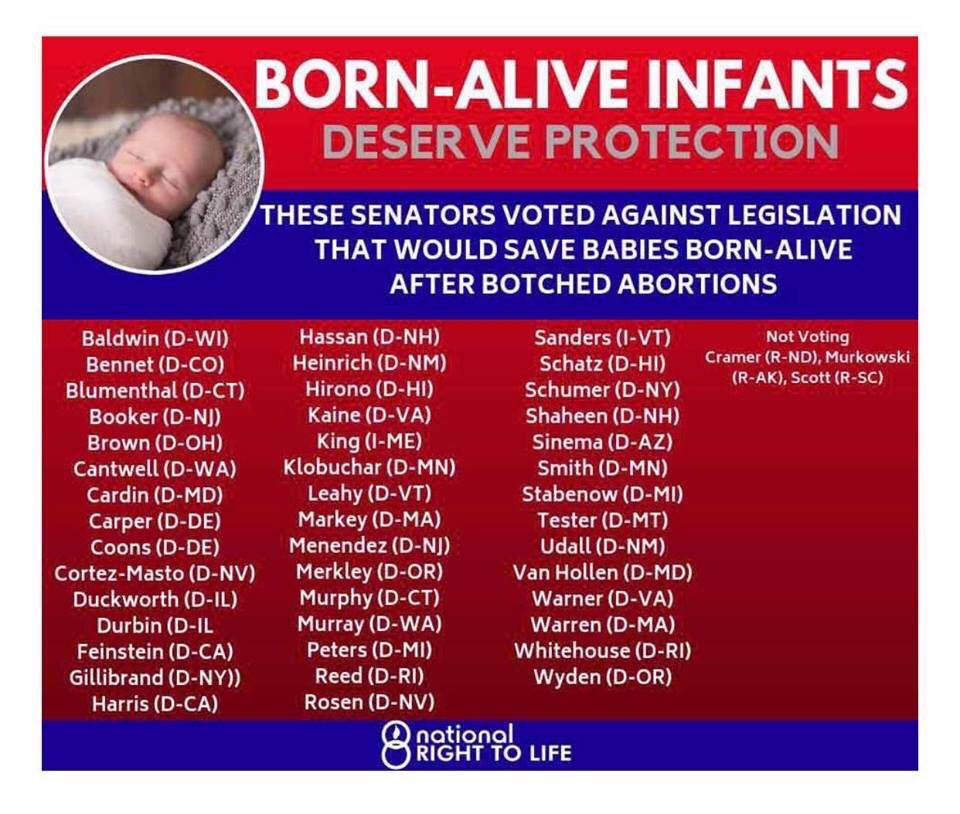 FWRepWomen's tweet photo. We must remember this at the ballot box and with our wallet. #BornBabies  #SaveTheChildren #ConservativeValuesMatter https://t.co/gc9vhO0m1u
