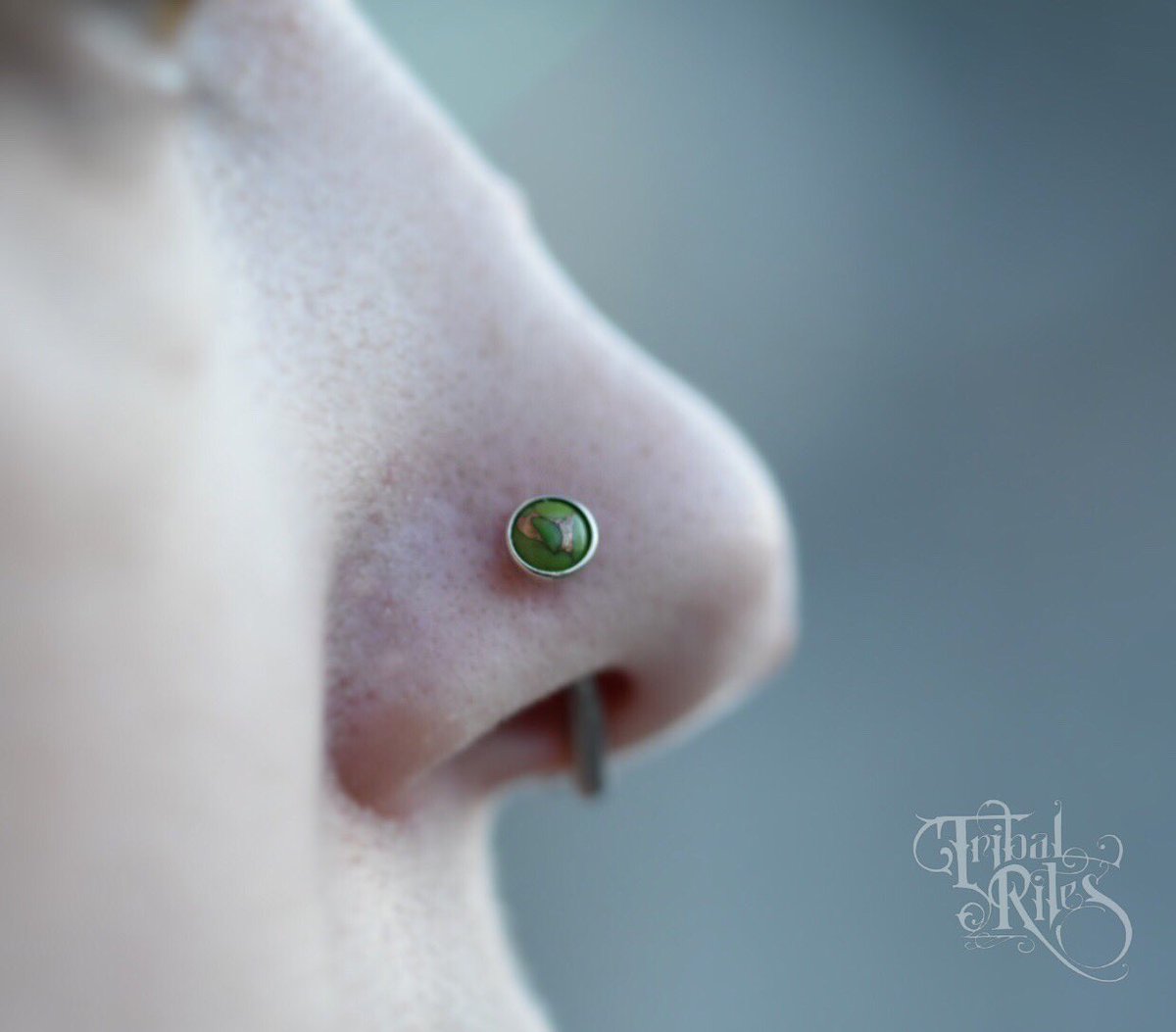 TribalRites's tweet photo. Jewelry upgrade with this beautiful green copper turquoise from @BODYVISIONLA ! #tribalritesfortcollins #legitbodypiercing #legitbodyjewelry #nosepiercing #gold #copperturquoise https://t.co/XQ9WRRmorz