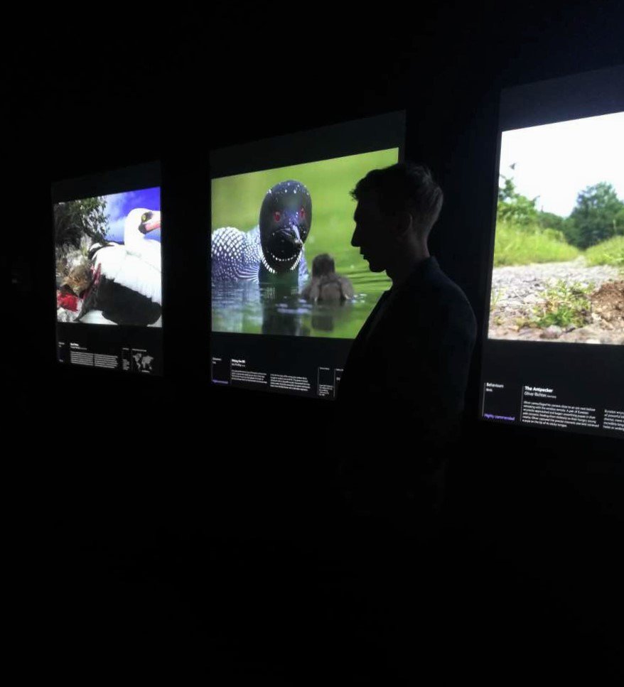 CVS Tours tweet media