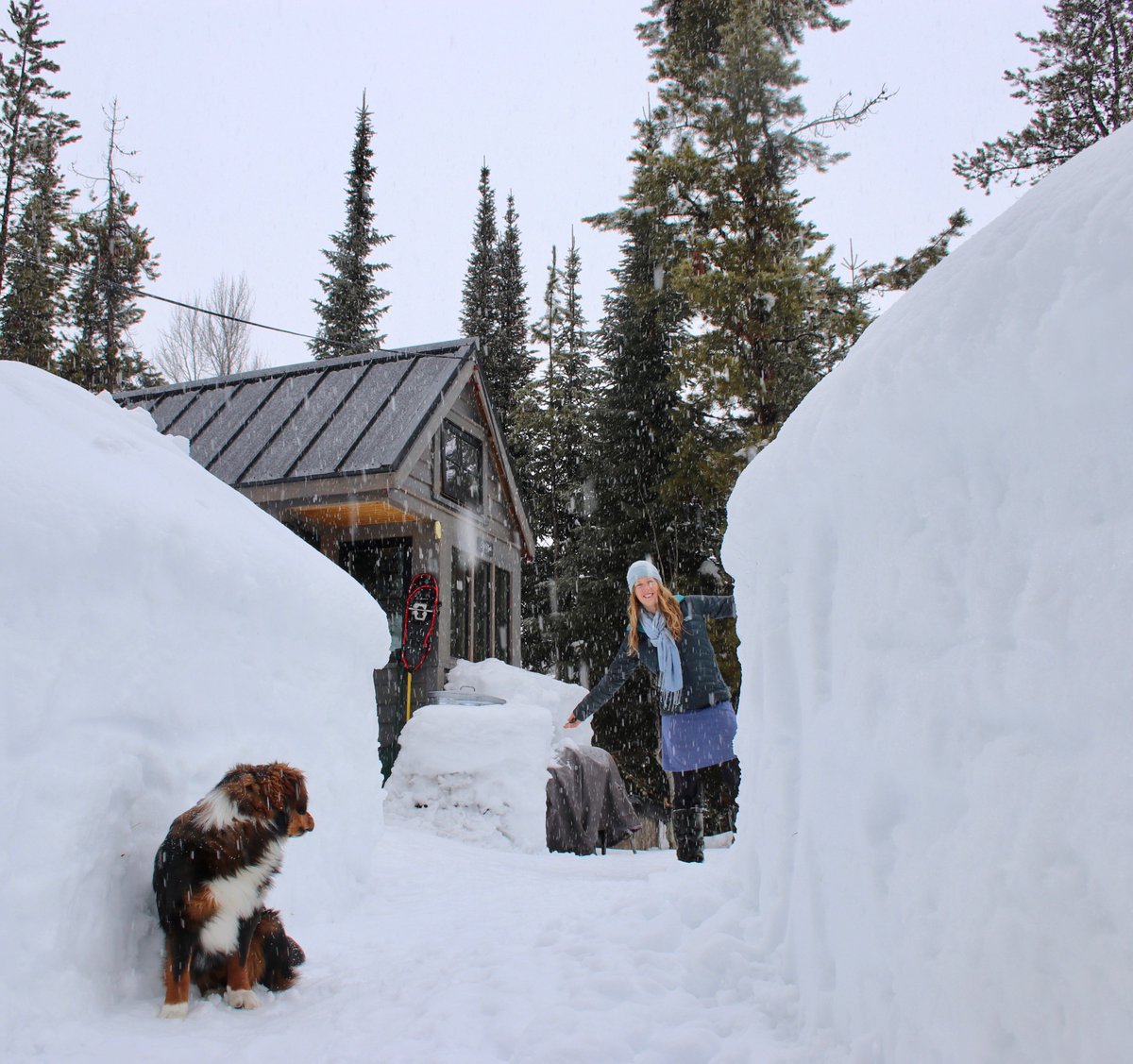 FyNyth's tweet photo. #Februburied. This is by a lot of inches, the most snowfall ever recorded for the month of February. Yes it really is that deep! #tinyhouse #tinyhouselife #offgrid #deepwinter #englishshepherd https://t.co/91AautC3QD