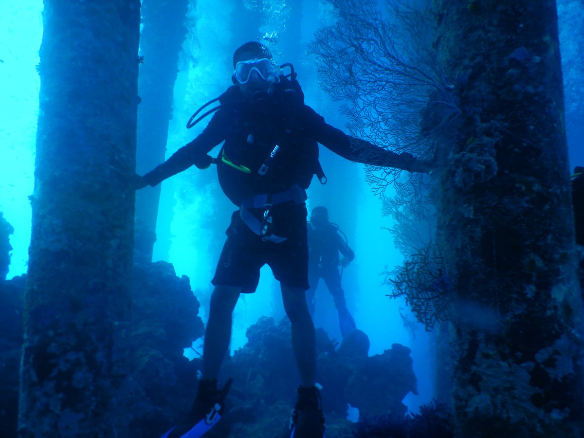 Muhalmukmin's tweet photo. Fundive #wakatobidive #visitwakatobi https://t.co/MC9M0kVfGK