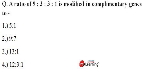 M_LearningIndia's tweet photo. M Learning - Brain Twister:
Episode - 87.
Winner would be the lucky one to answer correctly. Winner reward is the Coupon worth INR 100, redeemable on M Learning Video App.#iitjee #iitjeemains #neet #aiims #ntse #MLearningIndia #MLearningClassroom https://t.co/KE7Mk2ykvz