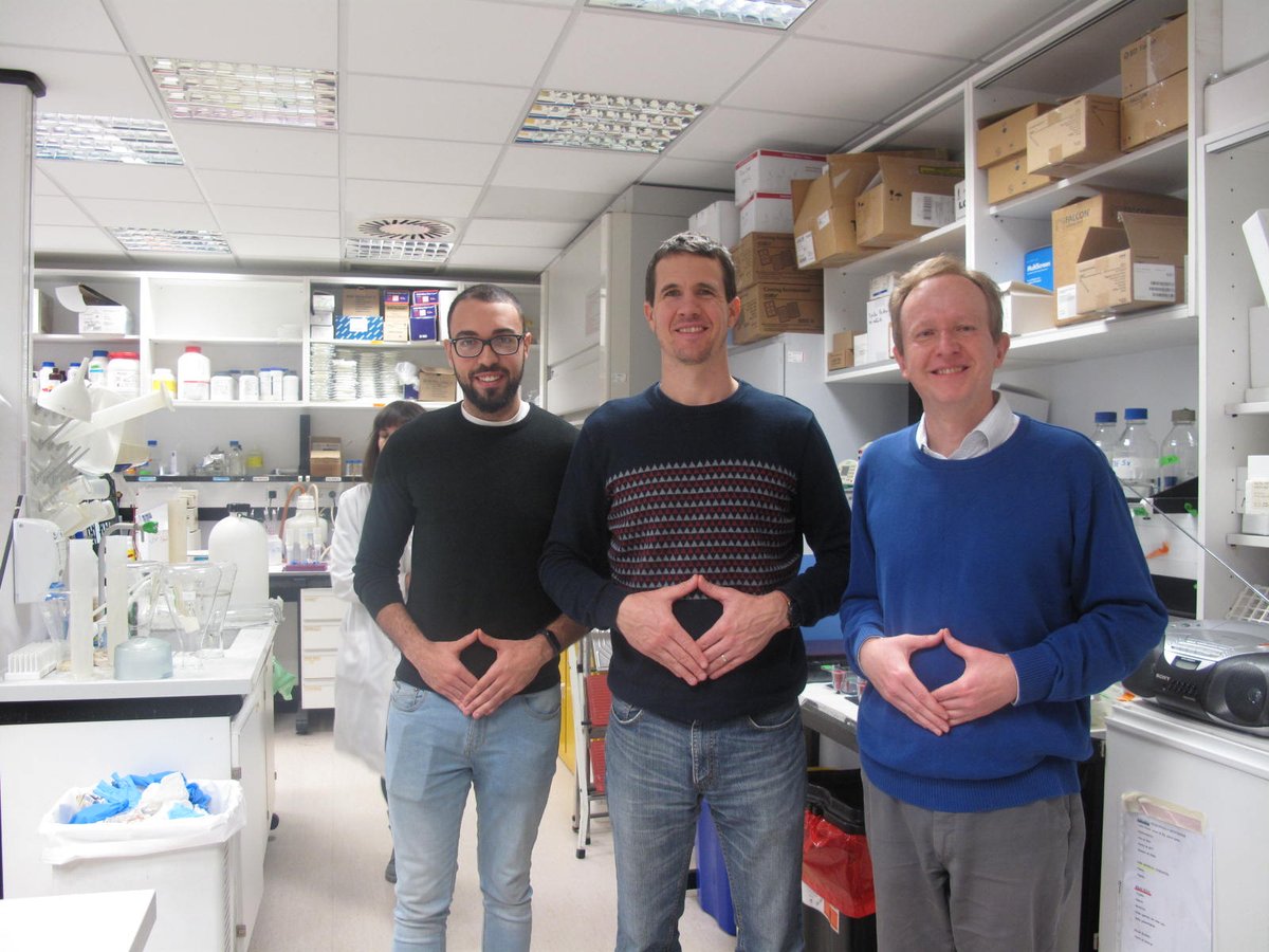 CIMA_unav's tweet photo. Hoy más que nunca, en el #DiaMundialEnfermedadesRaras, todo nuestro  esfuerzo está dedicado a los enfermos y sus familias.  #InvestigarEsAvanzar🔬 https://t.co/sweQGIjIjU