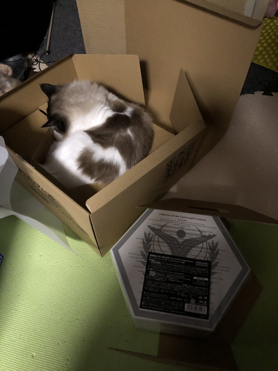 Etiqueta ラプラスの箱 Al Twitter