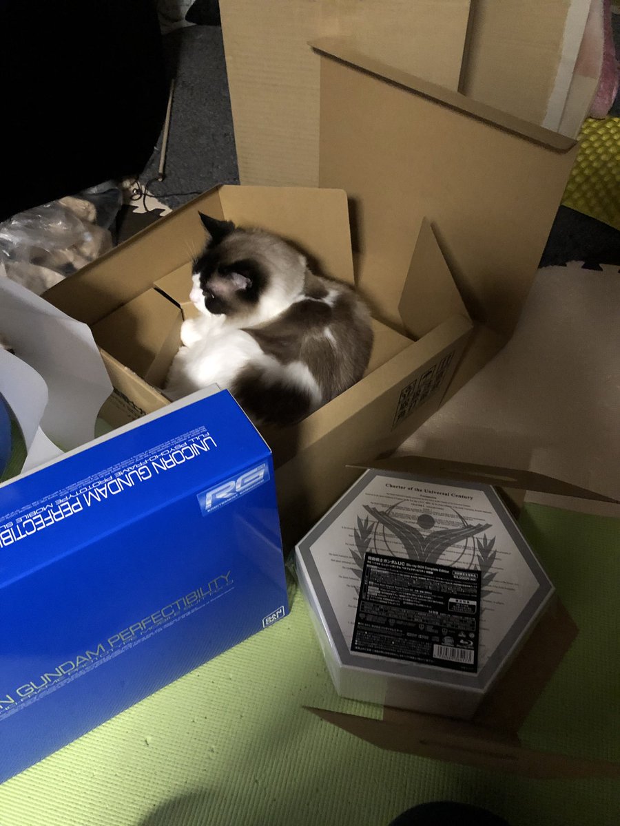 Etiqueta ラプラスの箱 Al Twitter