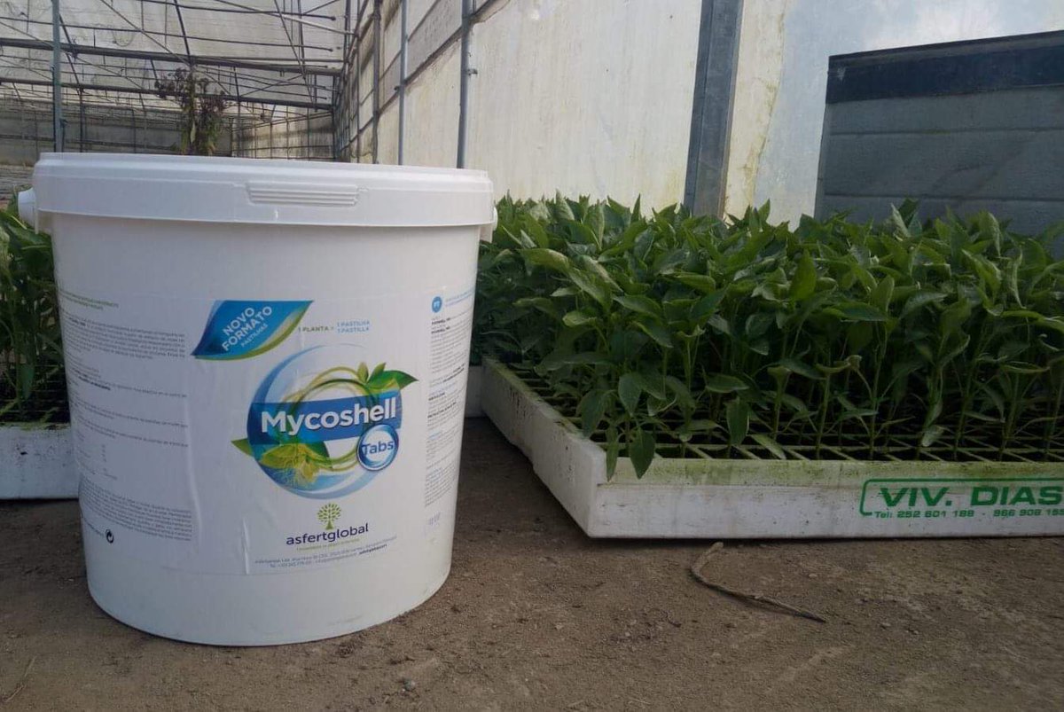 AsfertGlobalES tweet media