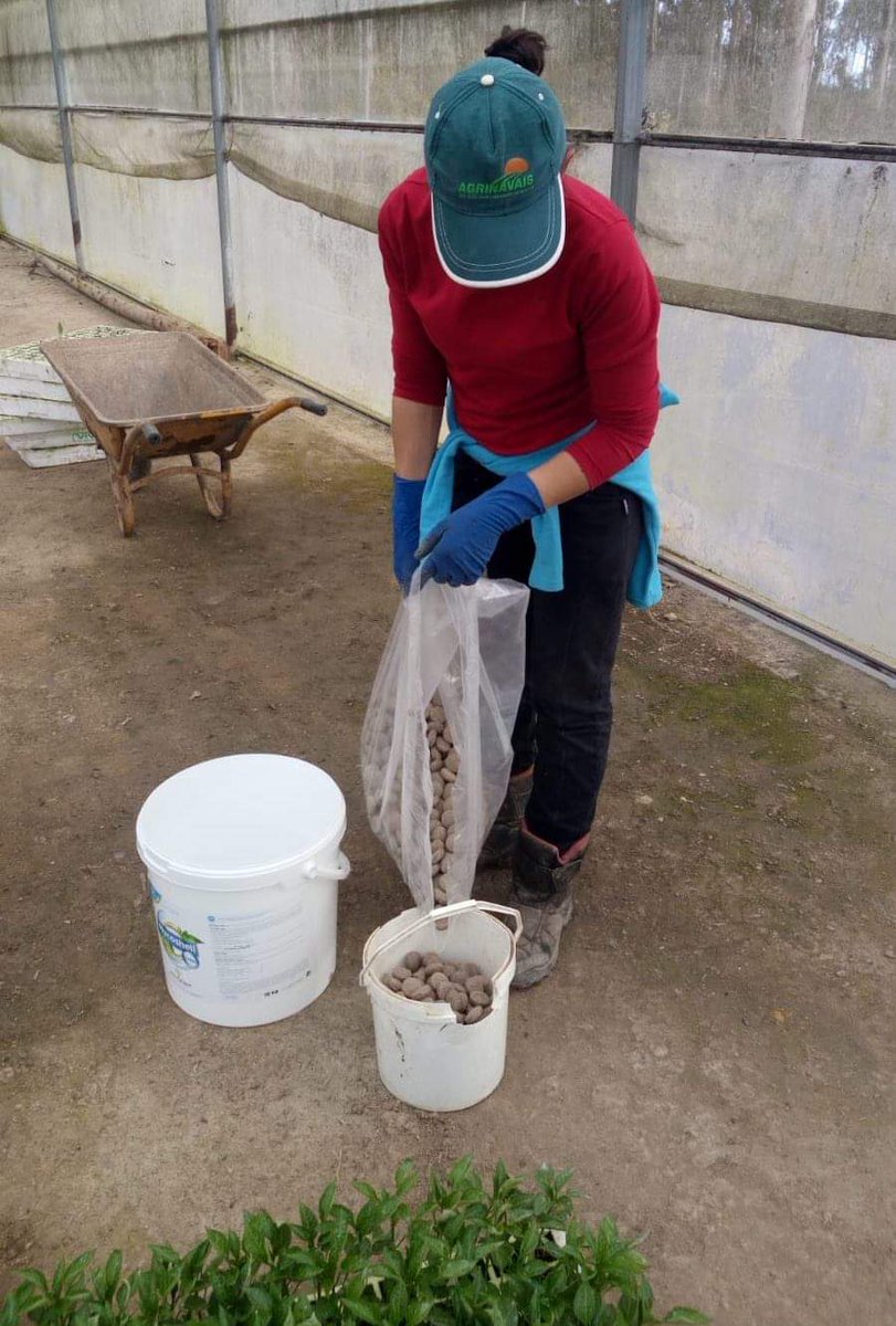 AsfertGlobalES tweet media