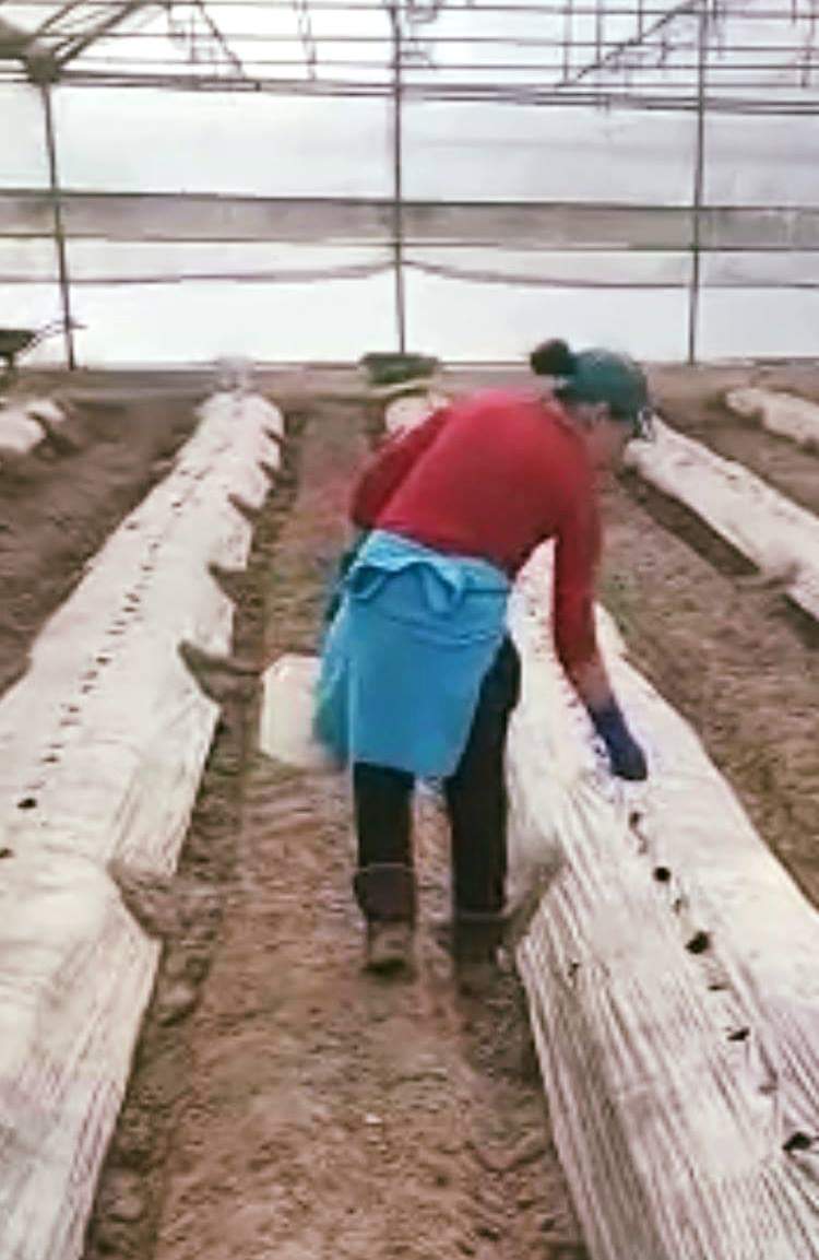 AsfertGlobalES tweet media