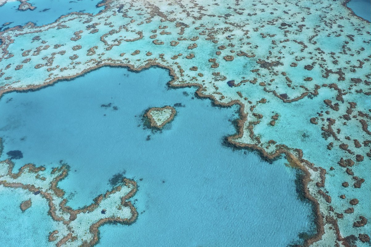 ReefAllianceAU's tweet photo. The #ReefAlliance E-Newsletter Summer Edition ๐ ๐ is now available! Stay up-to-date with the latest news from our partners including a new TechConnect Hub and bio-fertiliser trials to improve the health of the #GreatBarrierReef. Read more here: https://t.co/nTHqso6C8B. https://t.co/foXO7Z8ICQ