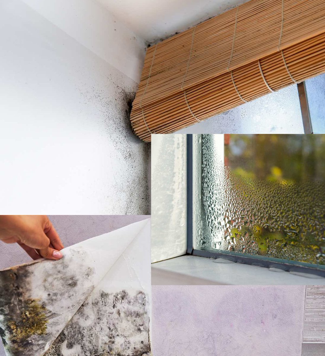 Tearstop Anti Condensation Felt For Metal Roofing On Twitter