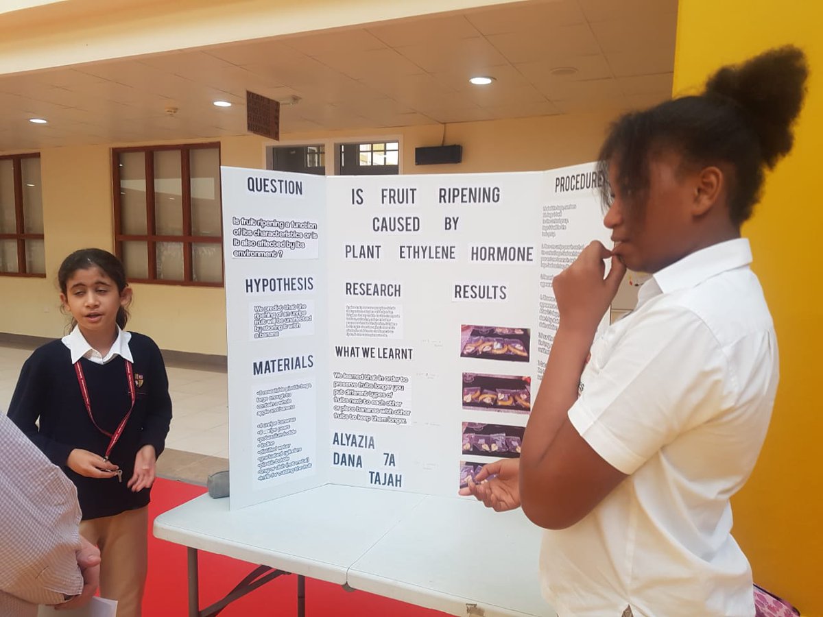 RaffISscience's tweet photo. Some photos of our hard working g years 7 and 8 pupils from this week's Science fair.
#RafflesIsScience https://t.co/uoIFPmrSjo