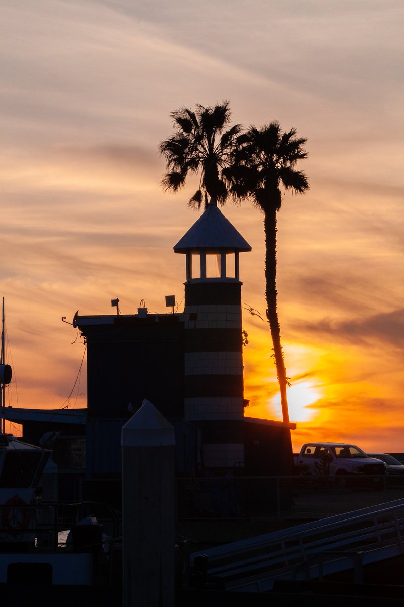 JPphotoGuy's tweet photo. We need darkness to appreciate light.
#redondobeach #gooutside #photography #love #sunset #breakwall #caigers #palmtrees #redondobreakwall #love #lighthouse #art #landscape #hermosabeach #california #manhattanbeachartfoundation #landscapehunter #earthofficial #color https://t.co/s2zOaiewc8