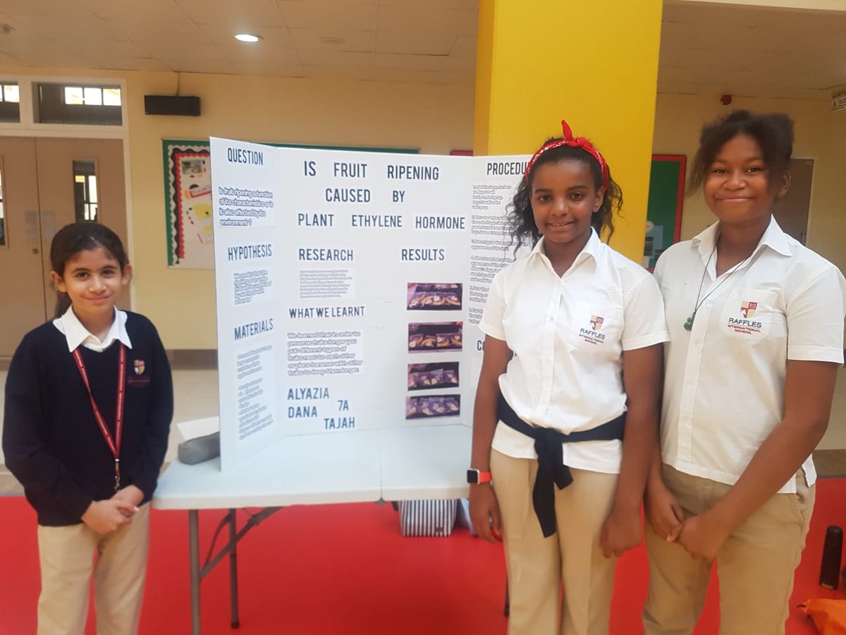 RaffISscience's tweet photo. Some photos of our hard working g years 7 and 8 pupils from this week's Science fair.
#RafflesIsScience https://t.co/ZR60qpZUL0
