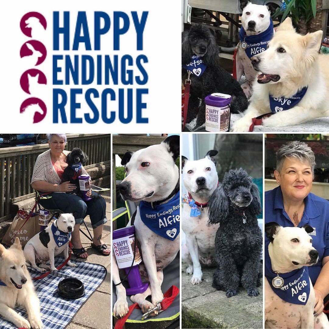 Happy Endings Rescue (@HE_Rescue) / Twitter Happy Endings Rescue (@HE_Rescue) / Twitter