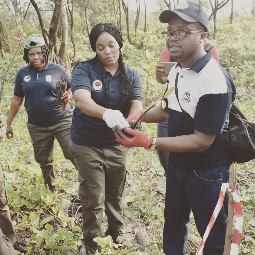 finimanatureprk's tweet photo. #ReforrestationThursday
Planting activity going on at #Finimanaturepark with visitors and park rangers #Ncf https://t.co/wjbTW67lJK