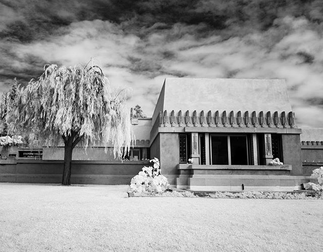 joshrubin's tweet image. &quot;Space is the breath of art&quot; -Frank Lloyd Wright
.
.
.
#franklloydwright #hollyhockhouse #laarchitecture #irphotography #infraredphotography #kolarivision ift.tt/2Nwx8xT