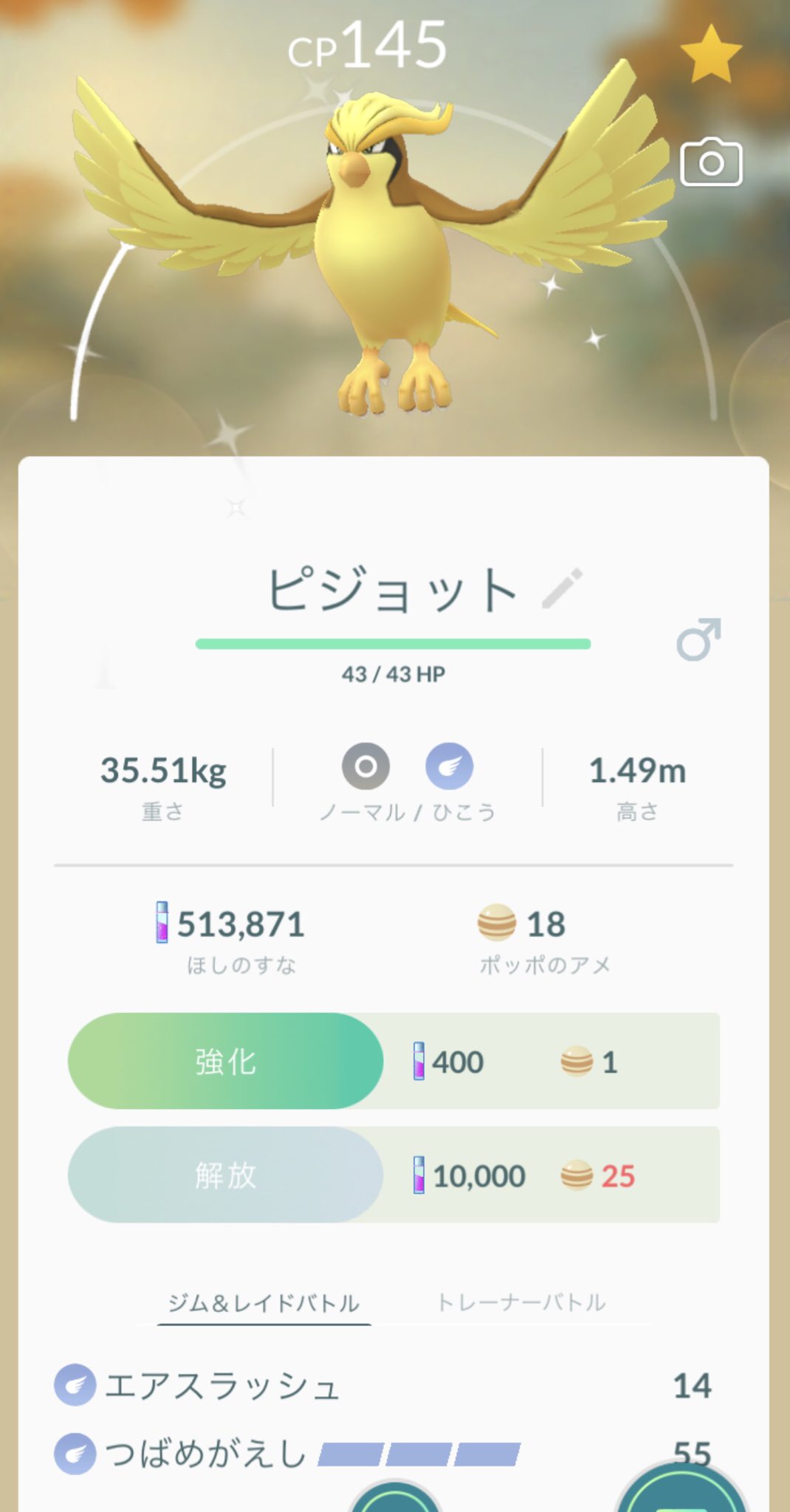 桜樹春陽 平成のホームズ 在 Twitter 上 色違いポッポ進化させた 色違いピジョットのイケメンさよ 色違いコラッタ帰りがけに出てくれる事を祈るしかなす T Co Hgujhlvubo Twitter