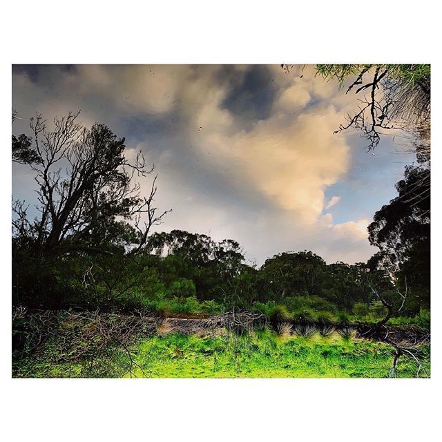 _gbbns's tweet image. Taking time to reflect on what was a simply awesome trip.

The Kennett River was a great stop and relax on the Great Ocean Road.

I wish I was back there.
-----------------------------------
.
.
.
.
.
.
.
.
.
.
#igersmelbourne 
#australia 
#neverstopexpl… ift.tt/2SwoHTQ