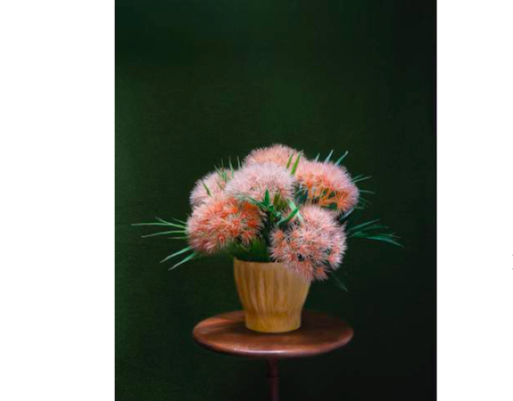 artinfodotcom's tweet photo. Anglim Gilbert Gallery presenting J. John Priola’s “Natural Light”
https://t.co/AiHgIPMNRw
#blouinartinfo #blouin #artinfo #AnglimGilbert #Gallery #JJohnPriola #NaturalLight https://t.co/AfOP6tVm77