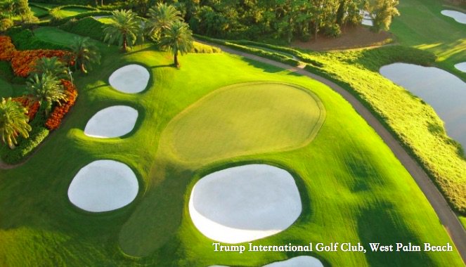 Lostaday's tweet photo. Wanna golf now?

From Scotland to Los Angeles, Trump Golf courses offer a new level of challenge, luxury, service and performance.

Plan the trip to experience the next generation of luxury and hospitality!

#trump #trumpgolf #golftrip #golf #playgolf #golftour #luxurygolf https://t.co/ZYqshn444p