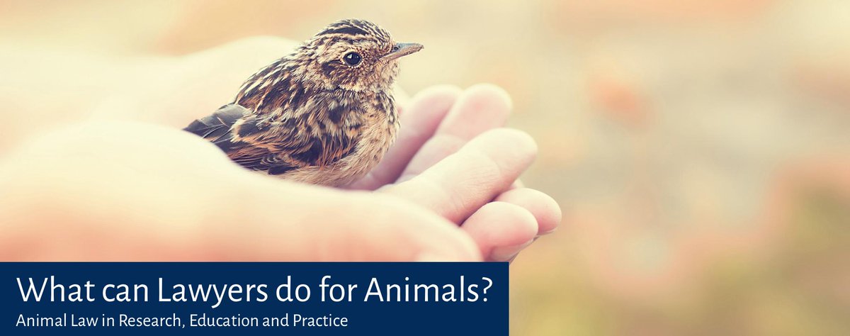 IyanOffor's tweet photo. What Can Lawyers Do for Animals? Animal law in research, education and practice.
REGISTRATION OPEN. Come join us for a panel discussion on 29 April in Glasgow with experts in the field - https://t.co/6LSSpT5Opt https://t.co/BtdPobxn8o