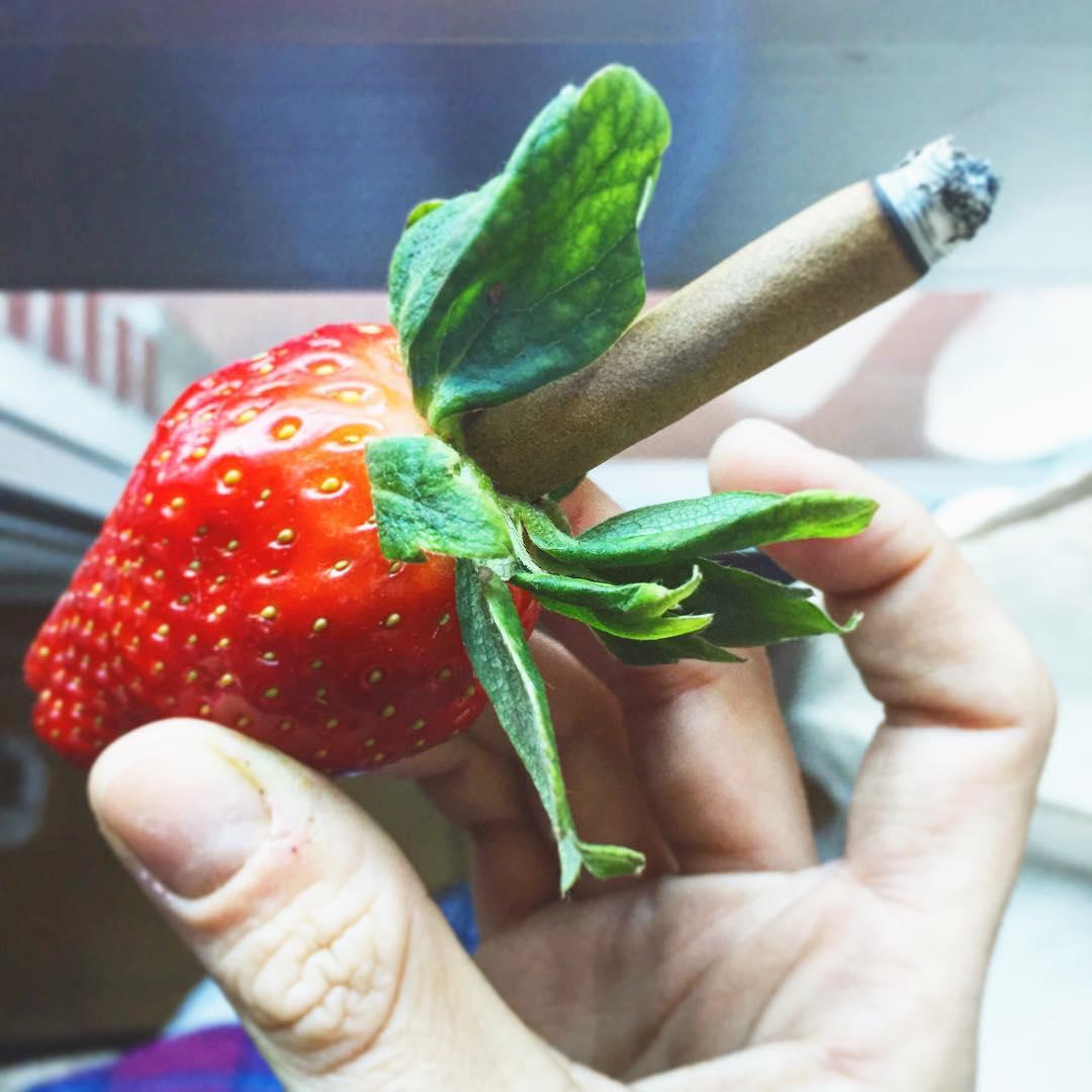 WeedmapsEs's tweet photo. ¿Probaste alguna vez esta combinación de fresas 🍓🍓🍓 y cannabis 🌱?
¡Parece perfecto para un wake and bake!  🌞🔥

📸 @thatweedcouple

#WeedmapsSpain #cannabiscommunity #cannabis #instahigh #instaweed #weedstagram #weedmadrid #high #roll #joint #cannabisarmy https://t.co/wgftFRKNKp