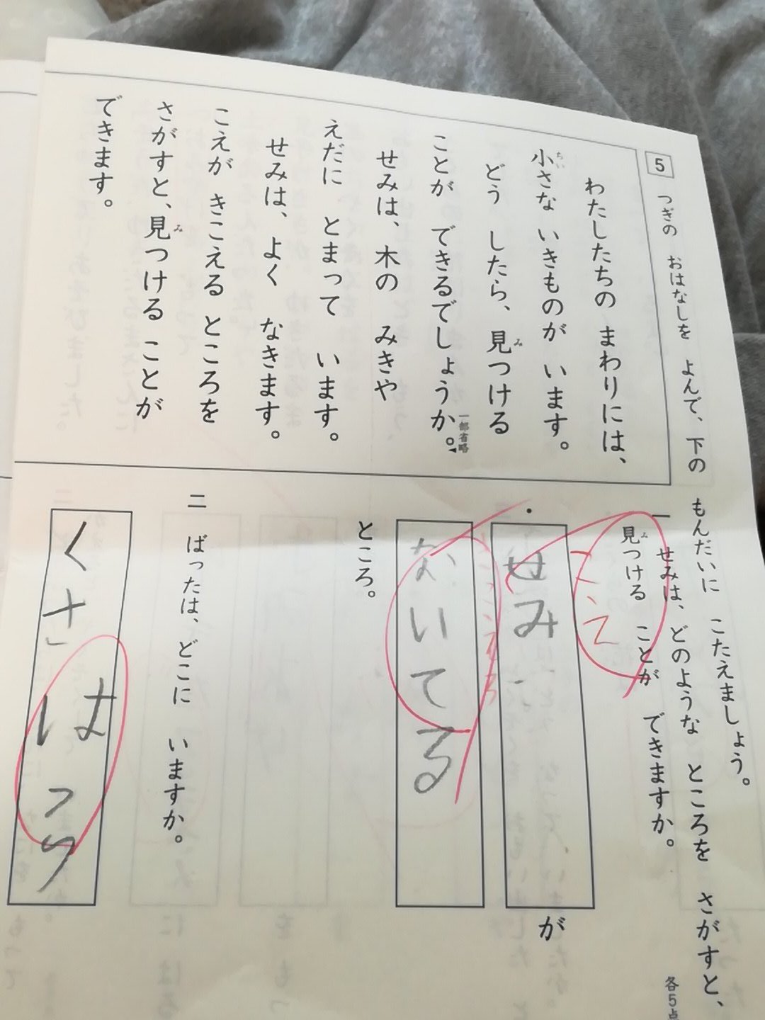 ひ 犬 長男の国語のテストの答えが 国語の読み取り的にはバツなんだけど結構好きw セミ捕まえる実践だとマルw 一応正解は こえ が きこえる ところ 小学一年生 国語テスト テスト T Co l2gru2bl Twitter