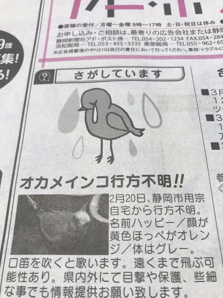 pinkparl1's tweet photo. 本日 #静岡新聞 #アドポスト に掲載されました。高齢の方は新聞の方が見るのではと思い掲載しました。どうか優しい人に #保護 され無事見つかりますように…。#迷子オカメインコ #オカメインコ迷子 #迷い鳥 #迷子鳥 #オカメインコ #静岡 #駿河区 #おかめインコ #おかめ迷子 https://t.co/NjpCIKs9gU
