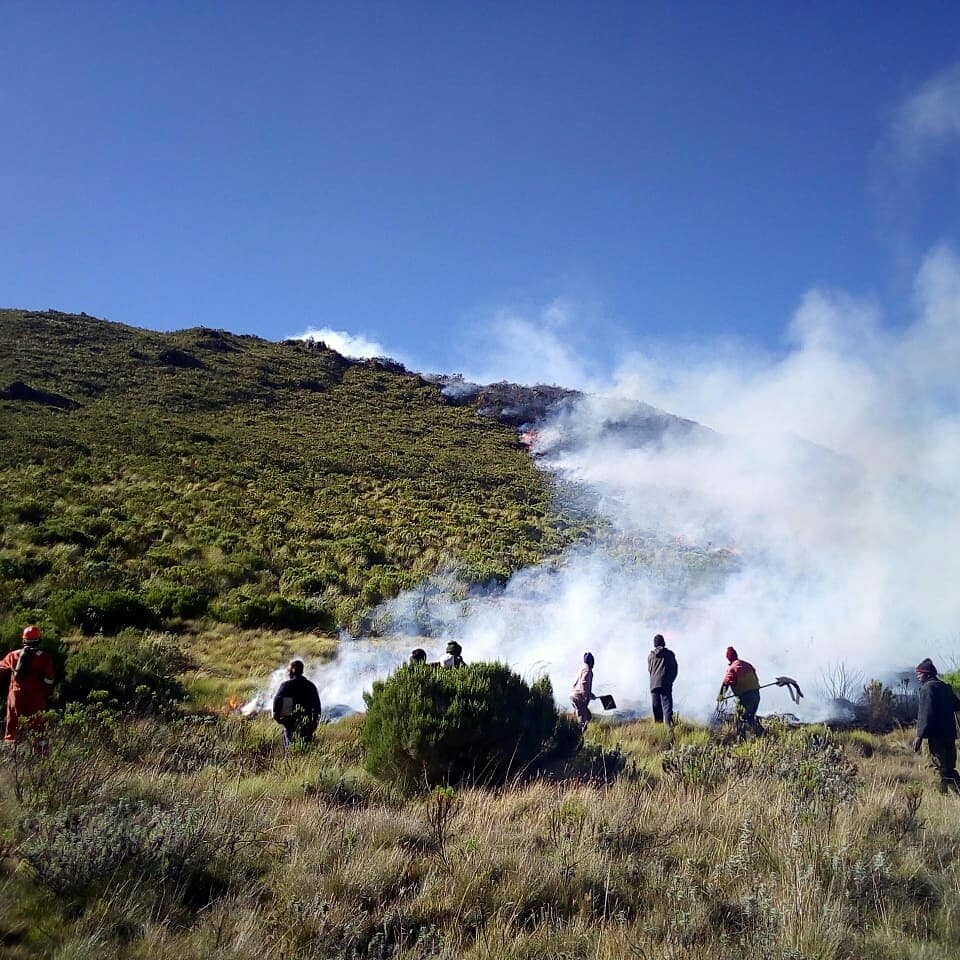 mountkenyatrust's tweet photo. #MountKenyaOnFire Update: Today A @kwskenya chopper will arrive today as well as a @KeForestService caravan for surveillance. 200 people will be deployed on the mountain today.

#mountkenyafire #MountKenyaOnFire  #FORPEAKSAKE #forestfire #wildfire #bushfire #forestfires #KOT https://t.co/PXeVnbRGj4
