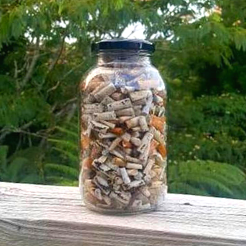 TheZeroWasteWay's tweet photo. Lorella Doherty is collecting 10,000 cigarette butts in 10 days.

Most butts are made from plastic.

Cigarette Recycling is available through @TerraCycle in some places. But not in NZ.

Article: https://t.co/fpEAh7lDK9

Recycling: https://t.co/Z1xTdj6WUr

#ZeroWaste #BeATidyKiwi https://t.co/qwOFKDRoqN