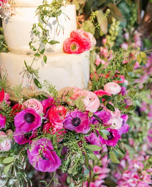 SomethingBlueEM's tweet photo. UNDERSTATED // A plain wedding cake is the perfect match for a wedding abundant with seasonal flowers, balancing one another for a sophisticated look. ⁣
.⁣
.⁣
Photo @amy.oboyle Flowers @allforlovelondon⁣ Cake @hayleyelizabethcakedesign⁣
 #wedding… https://t.co/u4dt8O9g62 https://t.co/tSJvFpHrEX