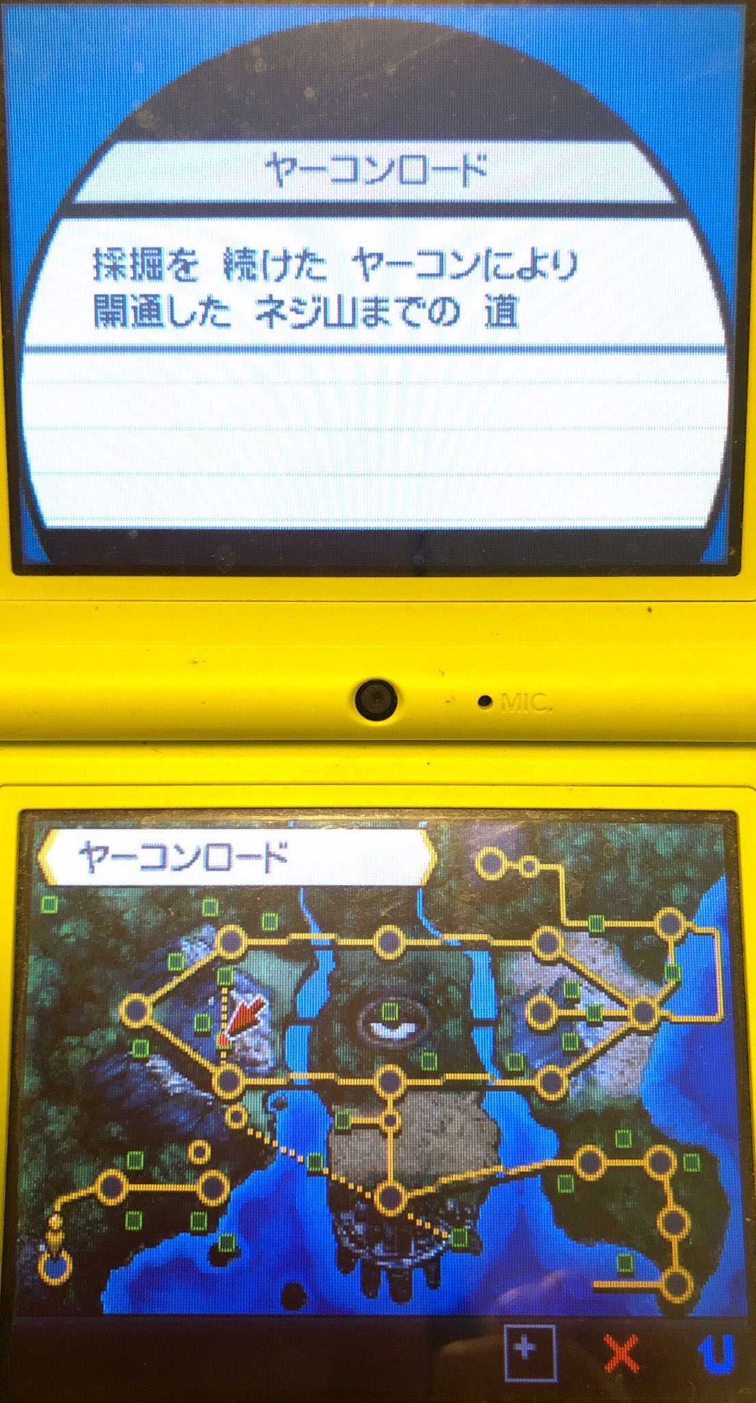 1 Dsiで始めた ピクミン マリオ ドラクエ Ff ポケモン日記