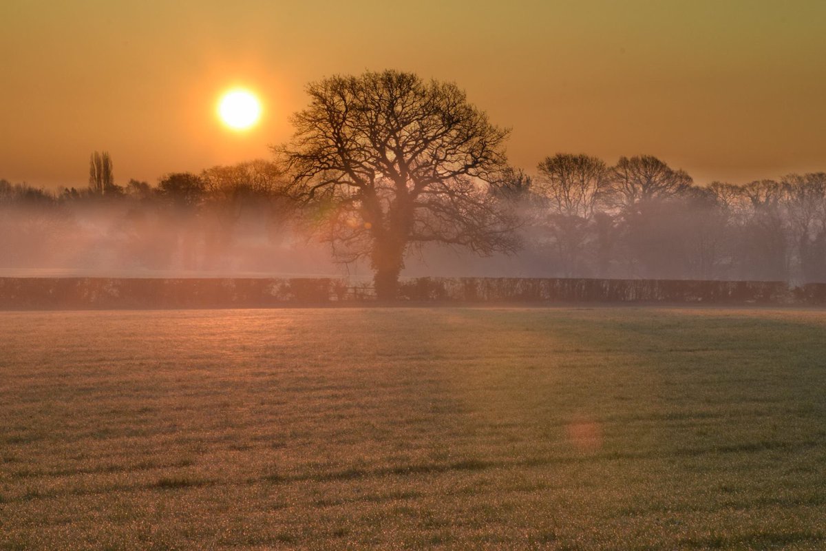 SophieParr5's tweet photo. Up to see the sun rise over Spurstow, amazing! Some possible painting ideas from my mammoth photo shop yesterday #cheshirelandscape #sunrise #colour #trees #spurstow #layersoftheland https://t.co/Wvi3U7oYo0