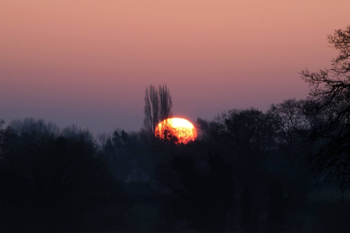 SophieParr5's tweet photo. Up to see the sun rise over Spurstow, amazing! Some possible painting ideas from my mammoth photo shop yesterday #cheshirelandscape #sunrise #colour #trees #spurstow #layersoftheland https://t.co/Wvi3U7oYo0