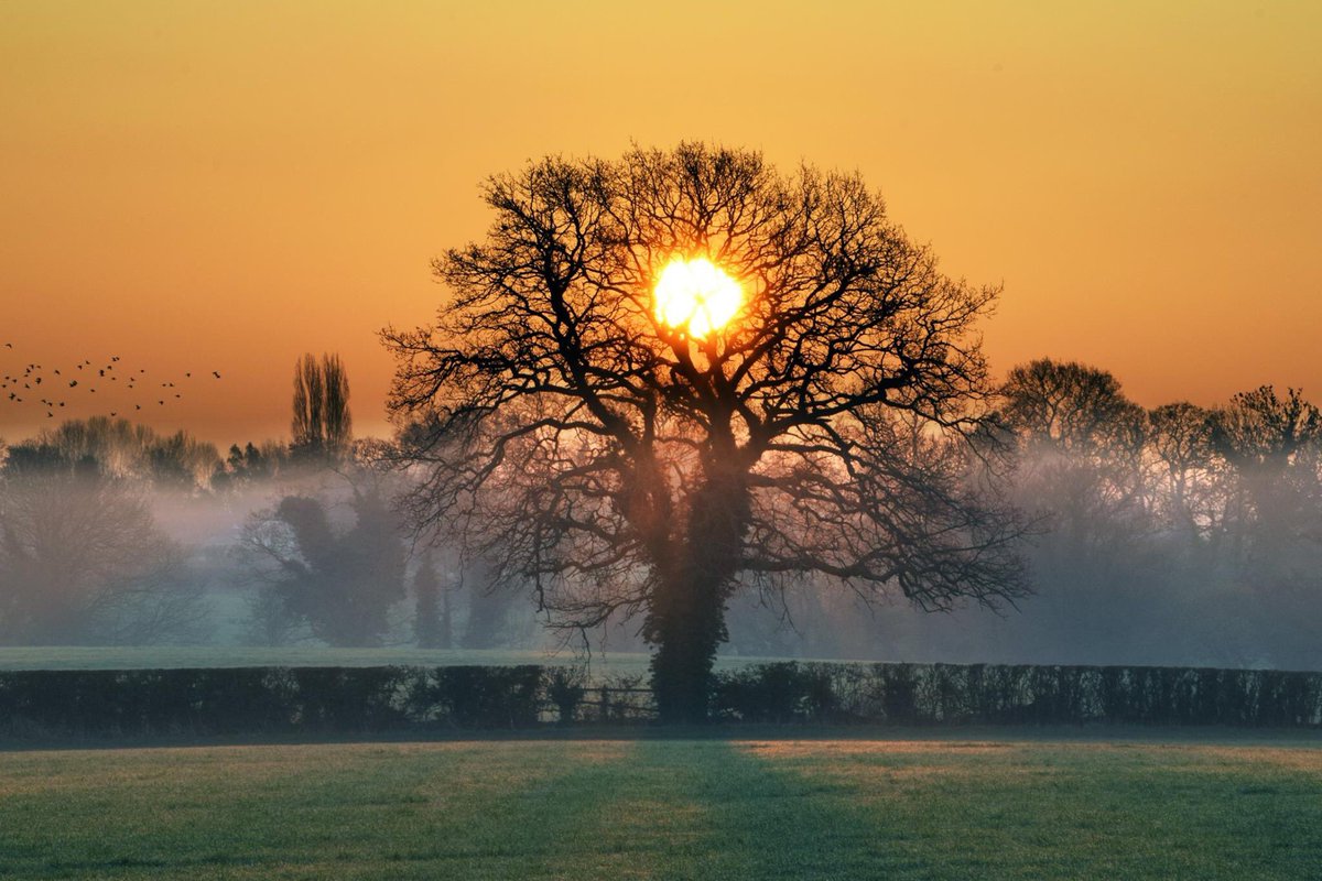 SophieParr5's tweet photo. Up to see the sun rise over Spurstow, amazing! Some possible painting ideas from my mammoth photo shop yesterday #cheshirelandscape #sunrise #colour #trees #spurstow #layersoftheland https://t.co/Wvi3U7oYo0