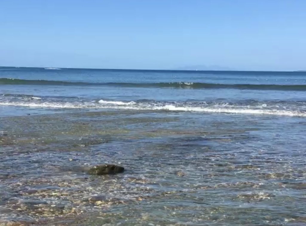 TYDAF_Blog's tweet image. Yoo hoo! Only me, again. assortedlifenotes.com/2019/02/28/yoo…