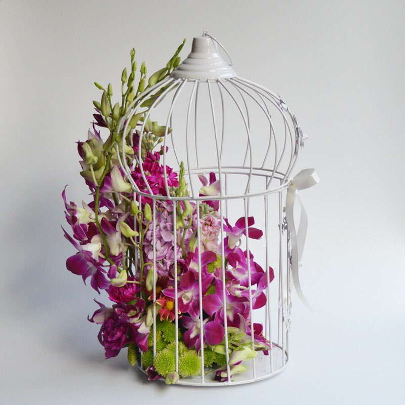 bunchary's tweet photo. Floral cage designed to impress!
#Orchids #Daisies and #fragrant Stock flowers 
Contact 9319062468
https://t.co/tEdNpCDOdq
 #floris #giftideas #flowers #delhi #noida #gurgaon #bunchary #delhiflorist #giftingflowers #luxuryflorist #luxuryflowers #floraldesign #bouquet #floralcage https://t.co/wFQfwQkcSd