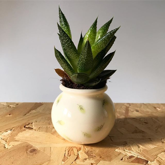 Fallow_Deer_Art's tweet photo. Little pot with green leaves π #ceramics #artanddesign #handmade #pot #pottedplants #tinypot #craft #ceramicpot #homedecor #homedecorinspo https://t.co/fPtueurlW6