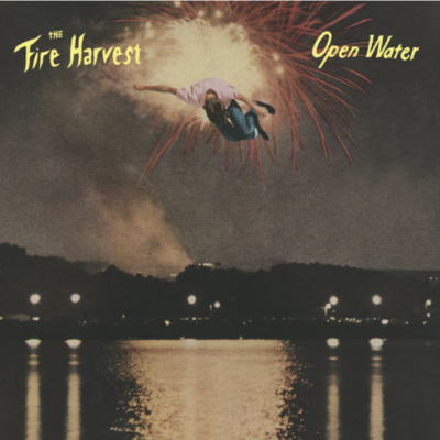 daMusic's tweet photo. Vrijdag in de winkel, dit debuut van @thefireharvest en het best waard om te beluisteren. https://t.co/hX6UvRzg1z https://t.co/hHchZDIVXY