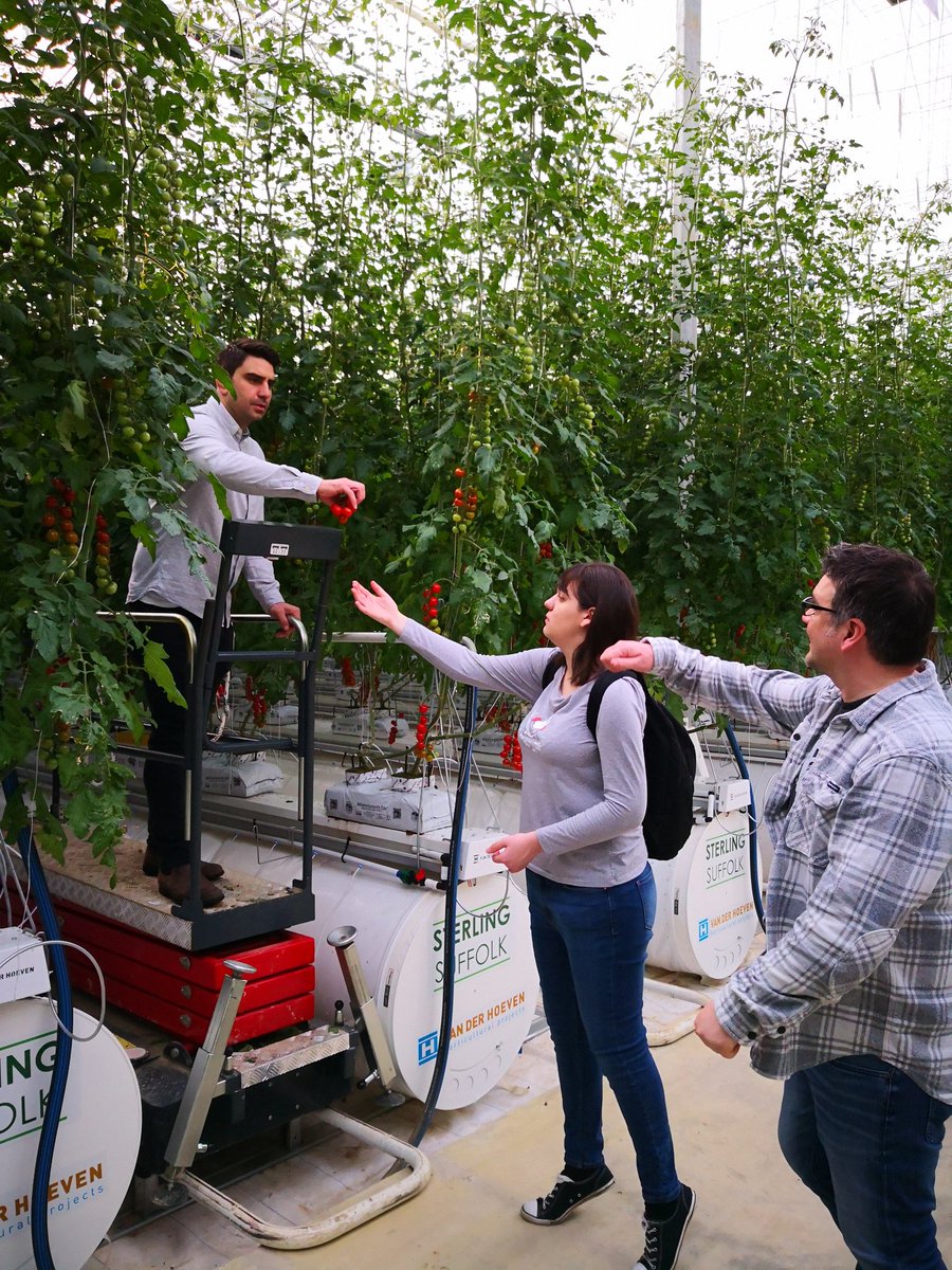 David Scrivens (@davidscrivensuk) on Twitter photo <a href="/BBCTheOneShow/">BBC The One Show</a> on site now at Sterling Suffolk the <a href="/AlpPlc/">Amberside ALP Plc</a> financed hydroponics glasshouse <a href="/BBCTheOneShow/">BBC The One Show</a> on site now at Sterling Suffolk the <a href="/AlpPlc/">Amberside ALP Plc</a> financed hydroponics glasshouse